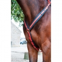 TdeT Collier de chasse Biotack Orange