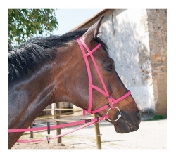 TdeT Bridon licol Biotack luxe Fuchsia