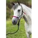 Nylonhalfter mit Leder unterlegt + amerikanischer Anbindestrick im Set