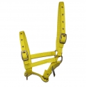 Licol nylon FOAL Impérial riding Jaune