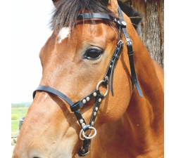 Side Pull biothane DMH-Equitation