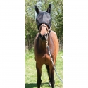 Bonnet de pré arceau
