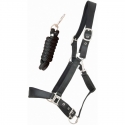 Bridon licol Biotack luxe by TDET