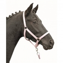 Licol -Stars Economy Softice- HKM Rose pastel