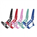 Licol Royalstar HKM Pur-sang