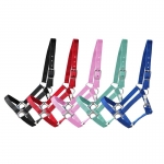 Licol nylon avec attache rapide