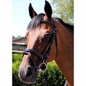 Bridon Capri Brio Treadstone