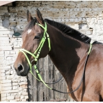 Bridon DMH équitation synthétique couleur