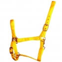 Licol cheval fluo DMH jaune orange vert bleu shetland au trait