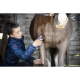 Tondeuse Lister Eclipse sans fil
