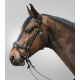 Bridon Diamond Star Waldhausen