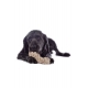 Jouet pour chien Buddy Knot Bone