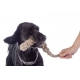 Jouet pour chien Buddy Knot Bone