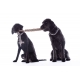 Jouet pour chien Buddy Knot Bone