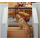 Barrière de sécurité pour chien