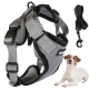 Kit harnais sans pression + laisse pour chien