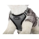 Kit harnais sans pression + laisse pour chien