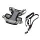 Kit harnais sans pression + laisse pour chien