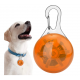 Lampe LED lumineuse pour collier de chien