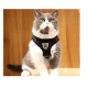 Harnais de promenade pour chien, chat