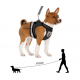 Harnais de promenade pour chien, chat