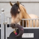 Jouet pour cheval en box buddy Moony