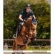 Gilet de protection SWING P24 Max adulte