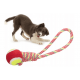 Cordon jouet pour chien