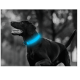 Collier lumineux pour chien et chat