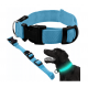 Collier lumineux pour chien et chat