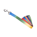 Longe Arc-en-ciel