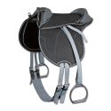 Bardette selle d'équitation pour enfant Waldhausen