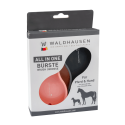 All in One magic Bürste im 2er-Pack Waldhausen