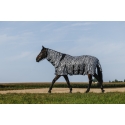 Hemd RIDING WORLD - Belly Mesh - Combo