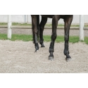 Botas y protectores de menudillos I love you EQUITHÈME