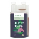 Equimmune flüssig Ergänzungsfuttermittel HILTON HERBS