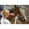 Kabelloser Finishing-Trimmer Heiniger Saphir Style