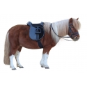 Kit selle bardette poney 10 pouces