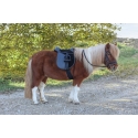 Kit selle bardette poney 10 pouces