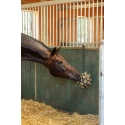 Jeu balle de foin pour box cheval