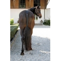 Protège-queue cheval caoutchouc synthétique