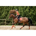 Bandes polaires -Edinburgh-HKM