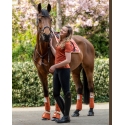 Bandes polaires -Edinburgh-HKM