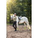 Bandes polaires -Edinburgh-HKM