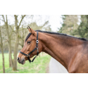 Licol Classic cheval HKM