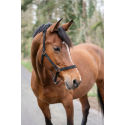 Licol Classic cheval HKM