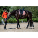 Tapis mixte-Savona- Style HKM