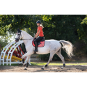 Tapis mixte-Savona- Style HKM