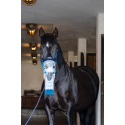 Inhalateur à ultrasons sans fil pour chevaux AirOne Flex