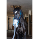Inhalador ultrasónico para caballos AirOne